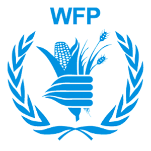 Chief of Strategic Communications, UN World Food Programme